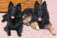 Boy und Finja