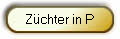 Zchter in P