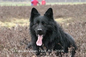 inmemoriamklein